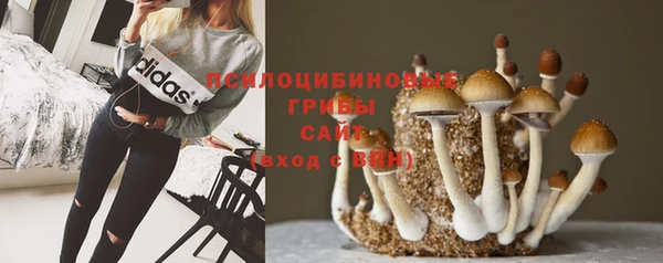 эйфоретик Бронницы