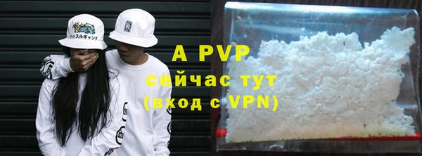 Альфа ПВП Бугульма