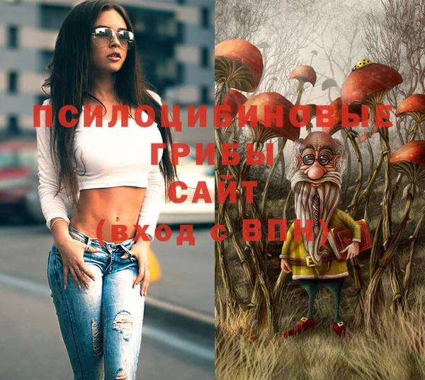 герыч Бородино