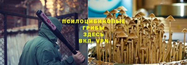 СК Верхний Тагил
